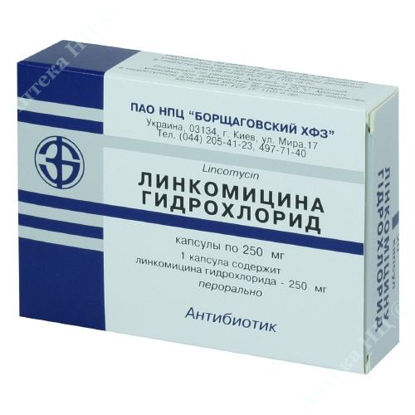  Зображення Лінкоміцину гідрохлорид капсули 250 мг  №20 БХФЗ 