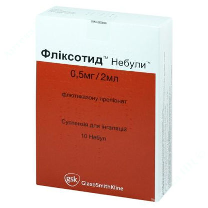  Зображення Фліксотид небули суспензія для інгаляцій 0,5 мг/2 мл №10  