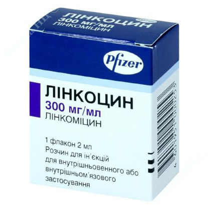  Зображення Лінкоцин розчин д/ін. 300 мг/мл фл. 2 мл №1 