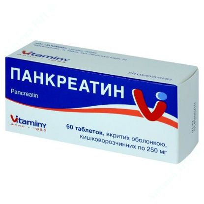  Зображення Панкреатин табл. в/о кишковорозч. 0,25 г блістер №60 