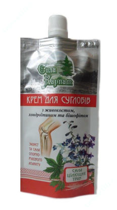  Зображення Сила Карпат крем для суглобів з живокостом, хондроїтином і бішофітом 100 мл 
