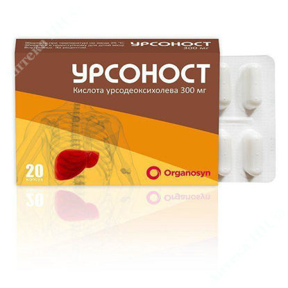 Изображение Урсоност капс. 300 мг блистер №20 Органосин