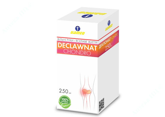  Зображення Деклонат Хондро, розчин 250 мл № 1 