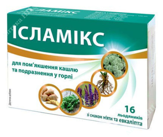  Зображення Dr. OM Ісландський мох Інтенсив зі смаком м'яти та евкаліпта льодяники 100 мг уп. № 16 